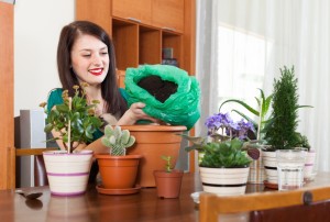 incorporationg a garden in your home ~ Organic Gurlz Gardens